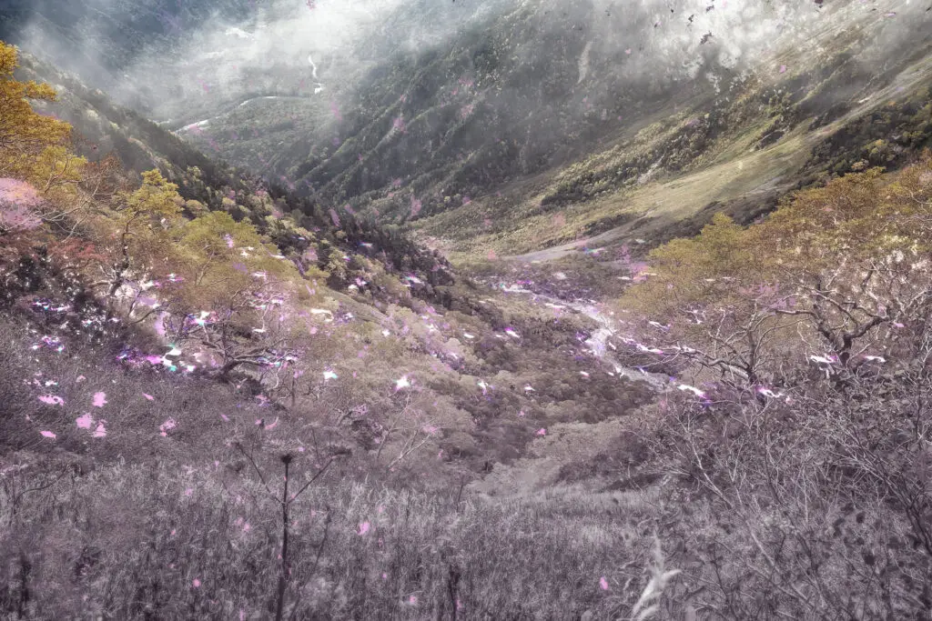 retrospective regret