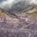 retrospective regret