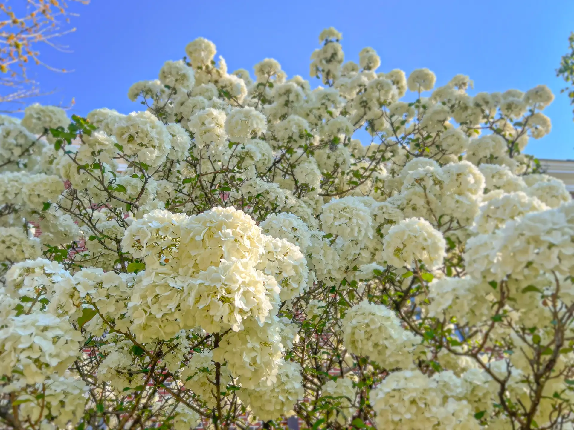 the paradox of choice